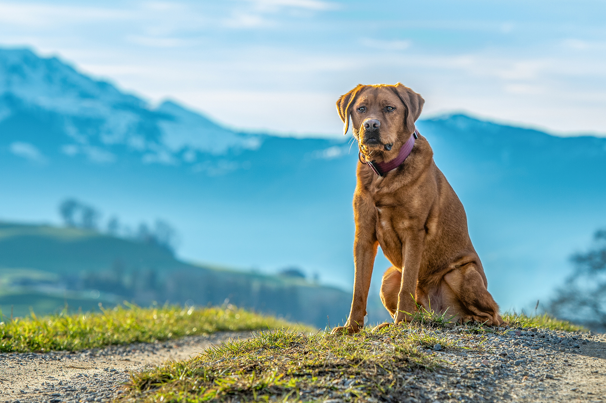 Kuma in Heimenschwand