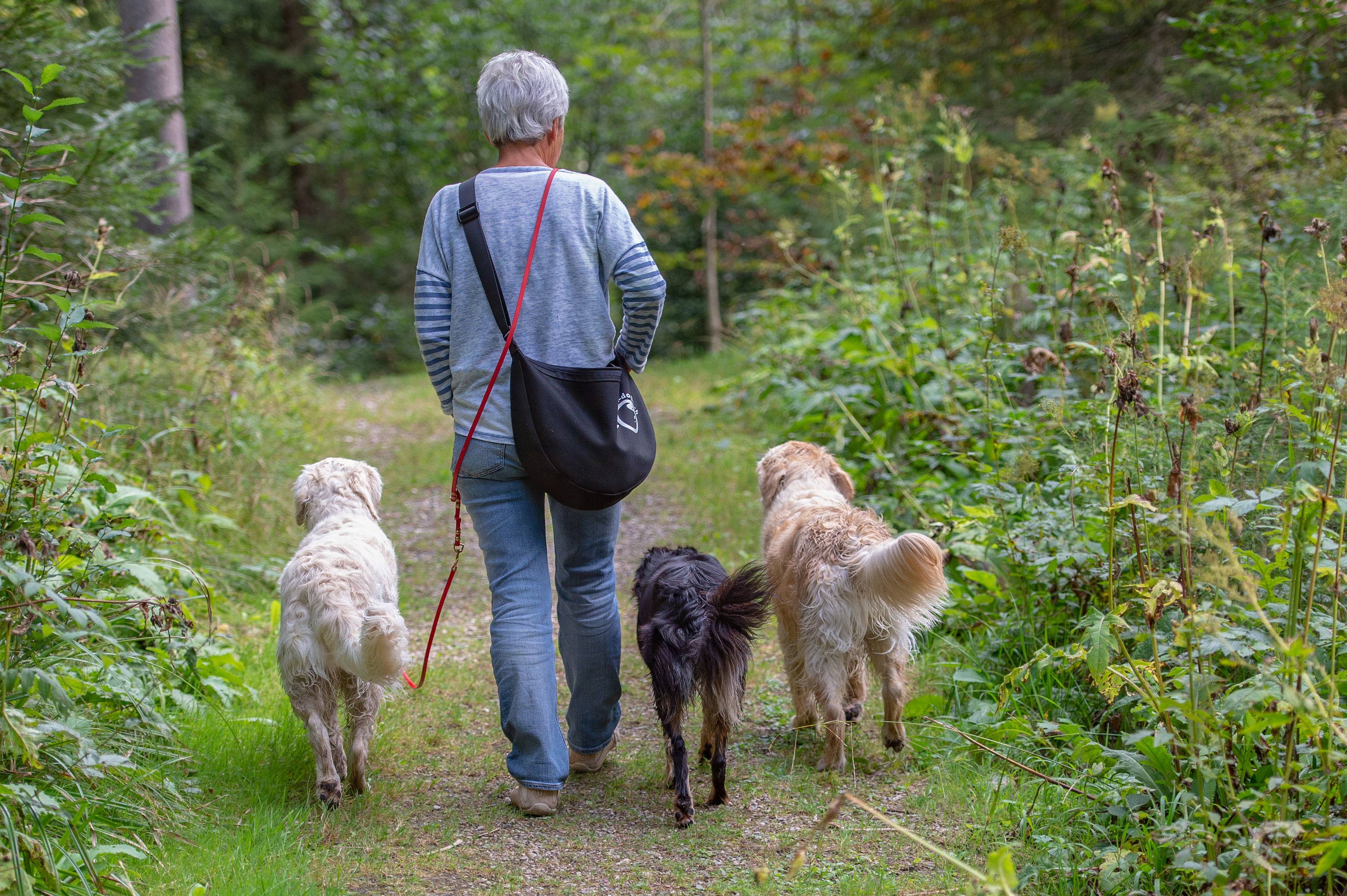 Spaziergang – Tiere – Roland Peter