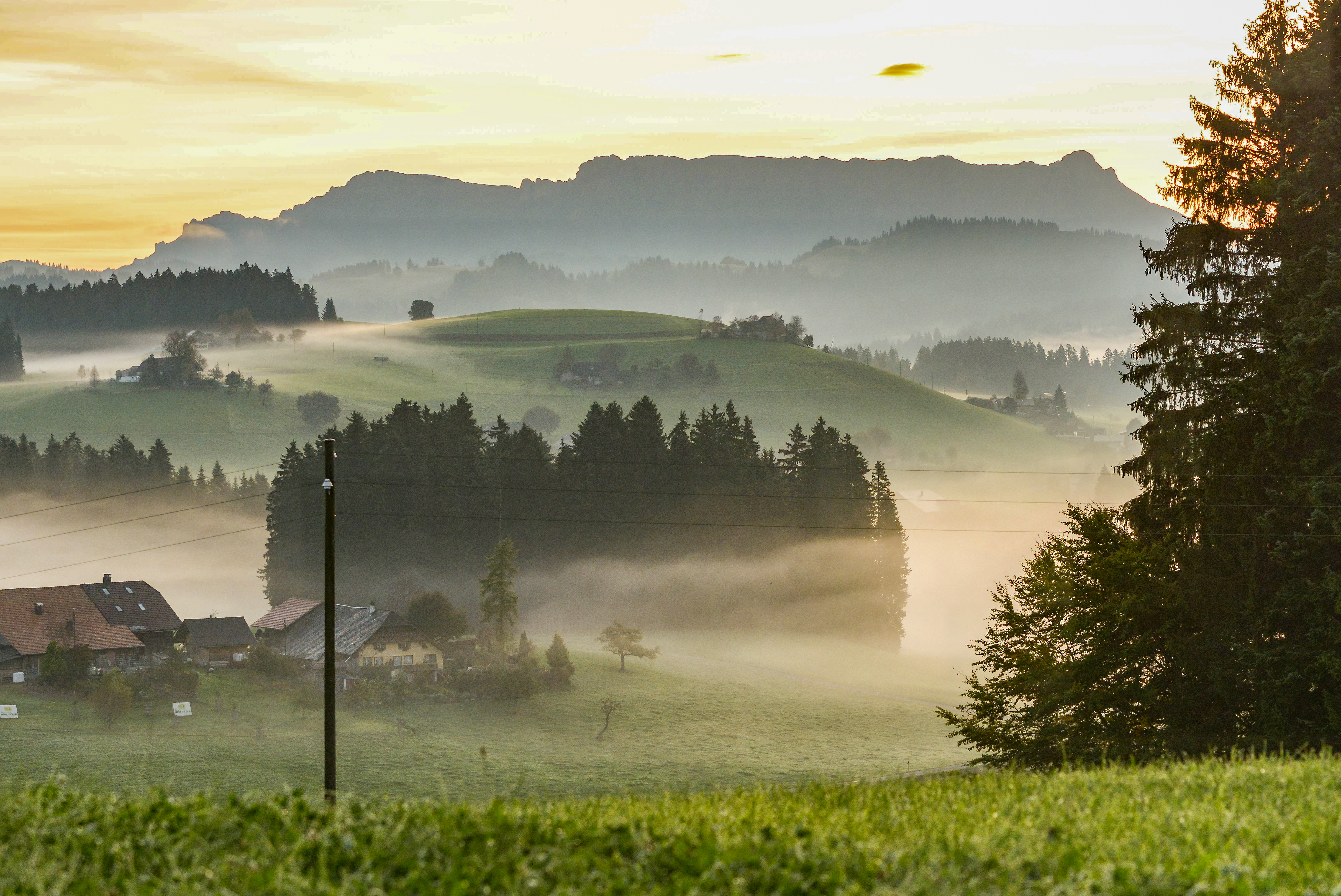 Morgennebel in Heimenschwand